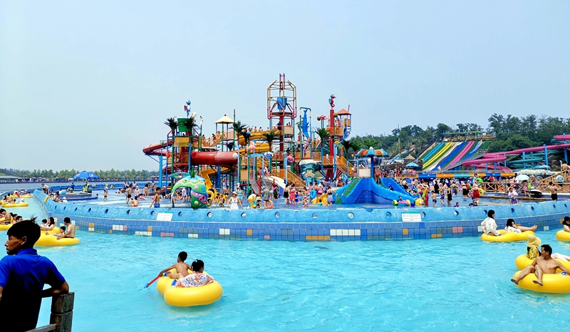 c��(�й���) - �ٷ���վ