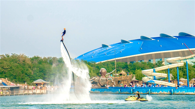 c��(�й���) - �ٷ���վ