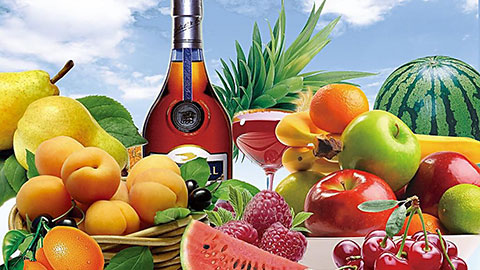 Food-and-Fruit-Industry